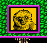 Disney's Dinosaur screenshot 4 for GameBoy Color